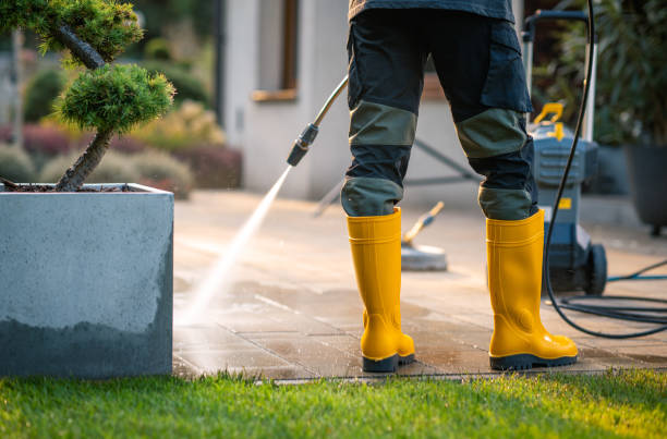 Deck Cleaning Services in Bath, MI